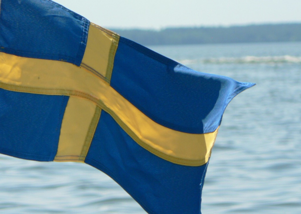 Шведское гражданство для россиян: преимущества, способы получения, стоимость и возможные причины отказа
