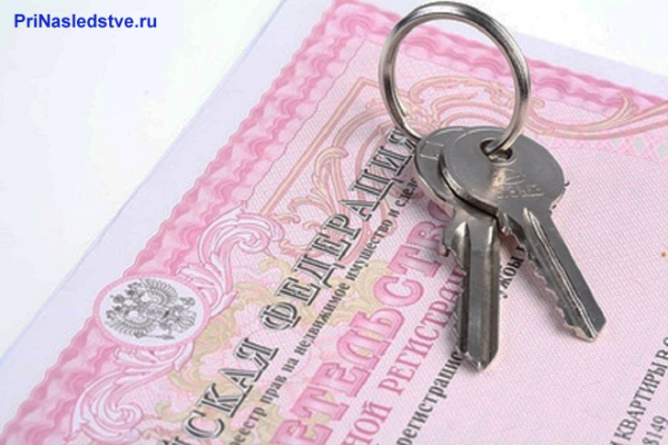 Список лиц, уполномоченных приватизировать квартиру