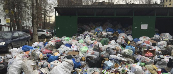 Не убирать мусор во дворе: куда пожаловаться
