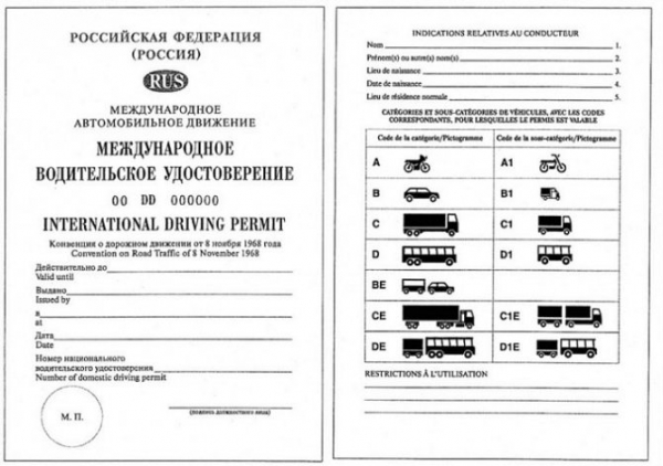 Как получить международные водительские права через MFC - 3 простых шага