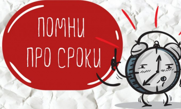 Отмените штрафы: многим российским автомобилистам можно «простить» нарушения ПДД