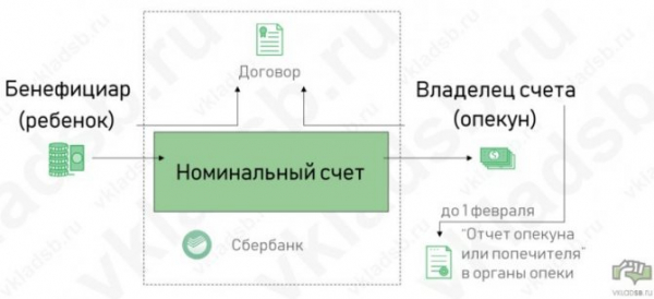 Именной счет опекуна: порядок регистрации и особенности использования