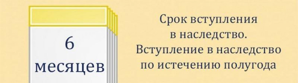 Характеристики наследства через 6 месяцев после смерти: сроки рассмотрения кредитов