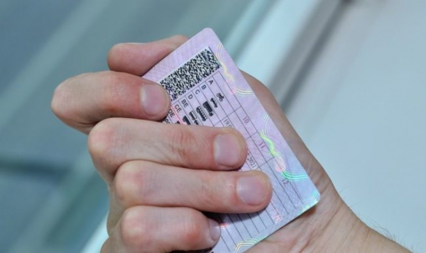 Пример заполнения заявки на замену водительского удостоверения в 2020 году