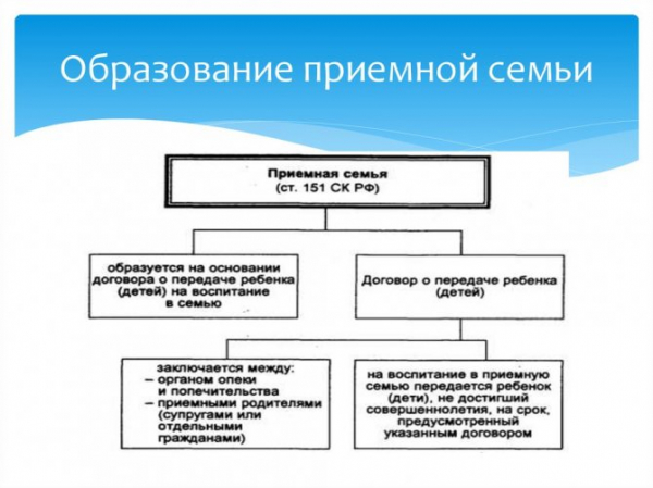 Органы защиты и охраны Российской Федерации: полномочия и функции