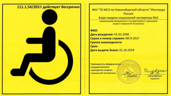 Автомобили для инвалидов: предоставляются, как получить права и другие нюансы