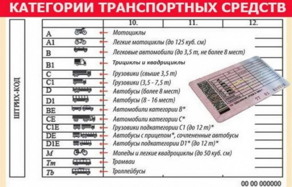 Водительское удостоверение трактора. Новые категории с 13 ноября 2011 г.