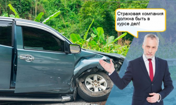 Действия виновника аварии. Должен ли виновный водитель уведомлять свою страховую компанию о ДТП?