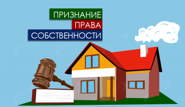 Собственность: формы, виды, примеры из практики