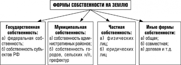 Собственность: формы, виды, примеры из практики